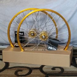 NEW Bicycle Bmx Wheel Rims 20" Pro Plus Araya Replicas