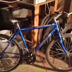 Magna Bike