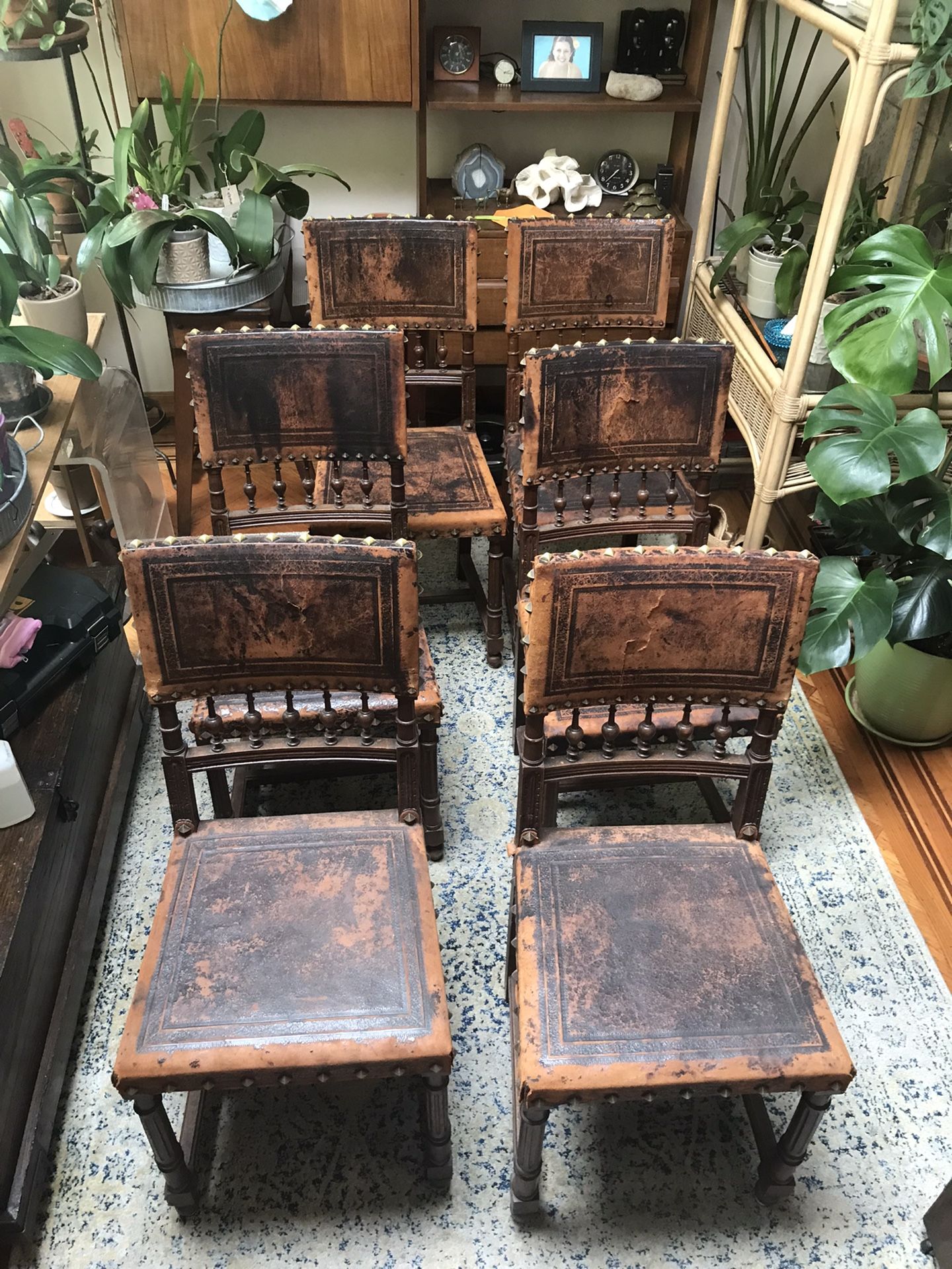 Antique Leather Chairs Set Of 6