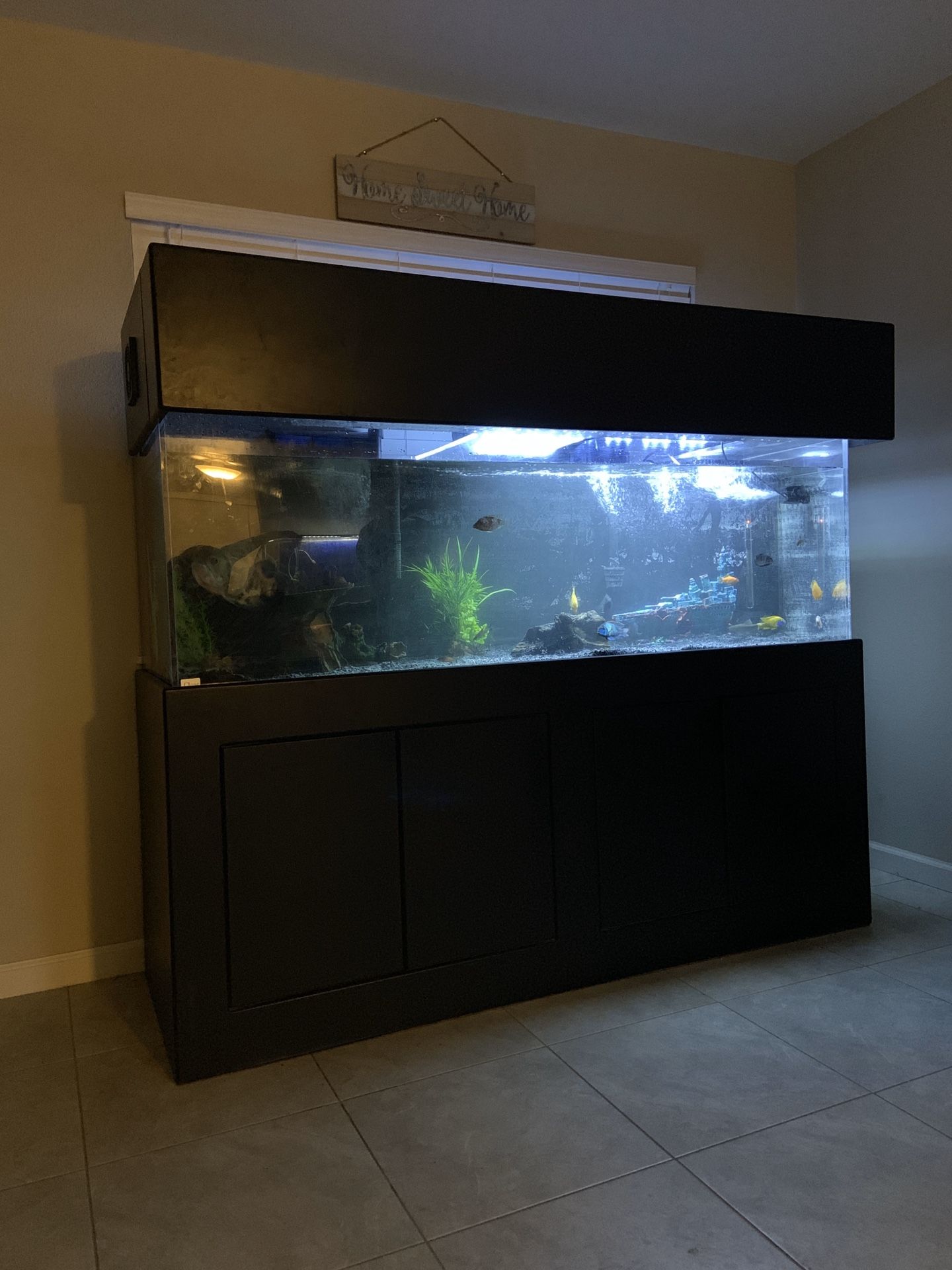 180 gallon fish tank (acrylic clear for life)