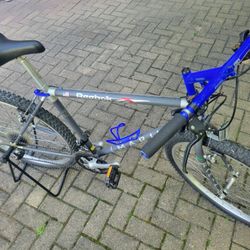 1993 Marin Pine Mountain Frame - Rare Reebok Edition 