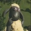 JuJu