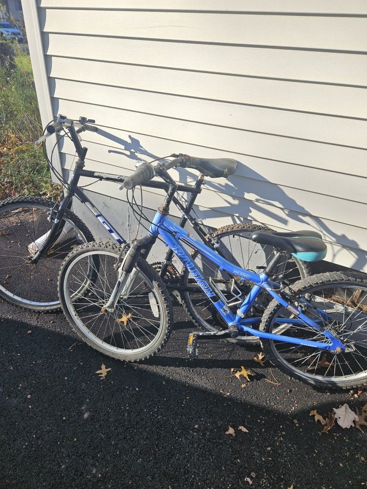 Mountain Bike And 24in Bike