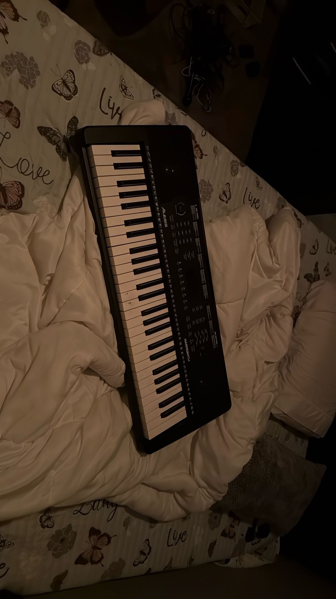 electric keyboard piano