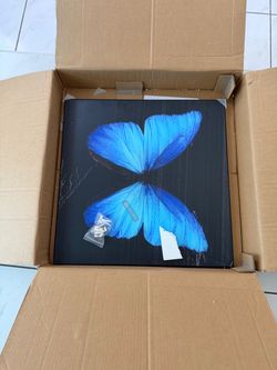 3 piece butterfly abstract