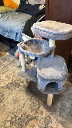 Cat Tower