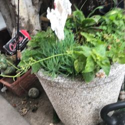 Plant holder really heavy made of rock