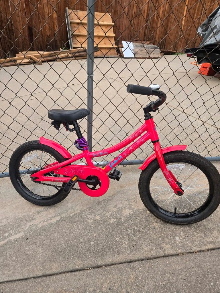 Miss Daisy Jamis bike