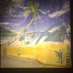 Landshark Beer Promo Advertising  Man Cave Bar Beach Sin, With Light . Lowed Price To Sell Fast 