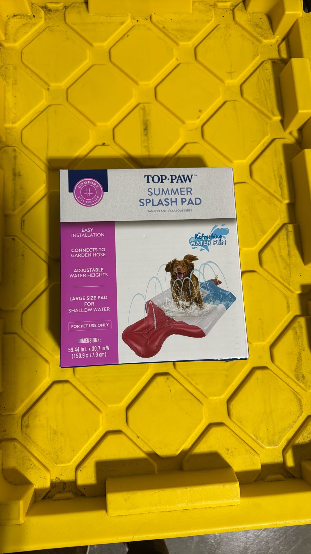Dog Backyard Splash Pad