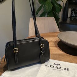 Coach Swing Zip 20 Bag 