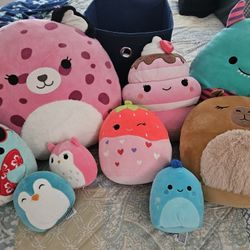 Squishmallows Big Small