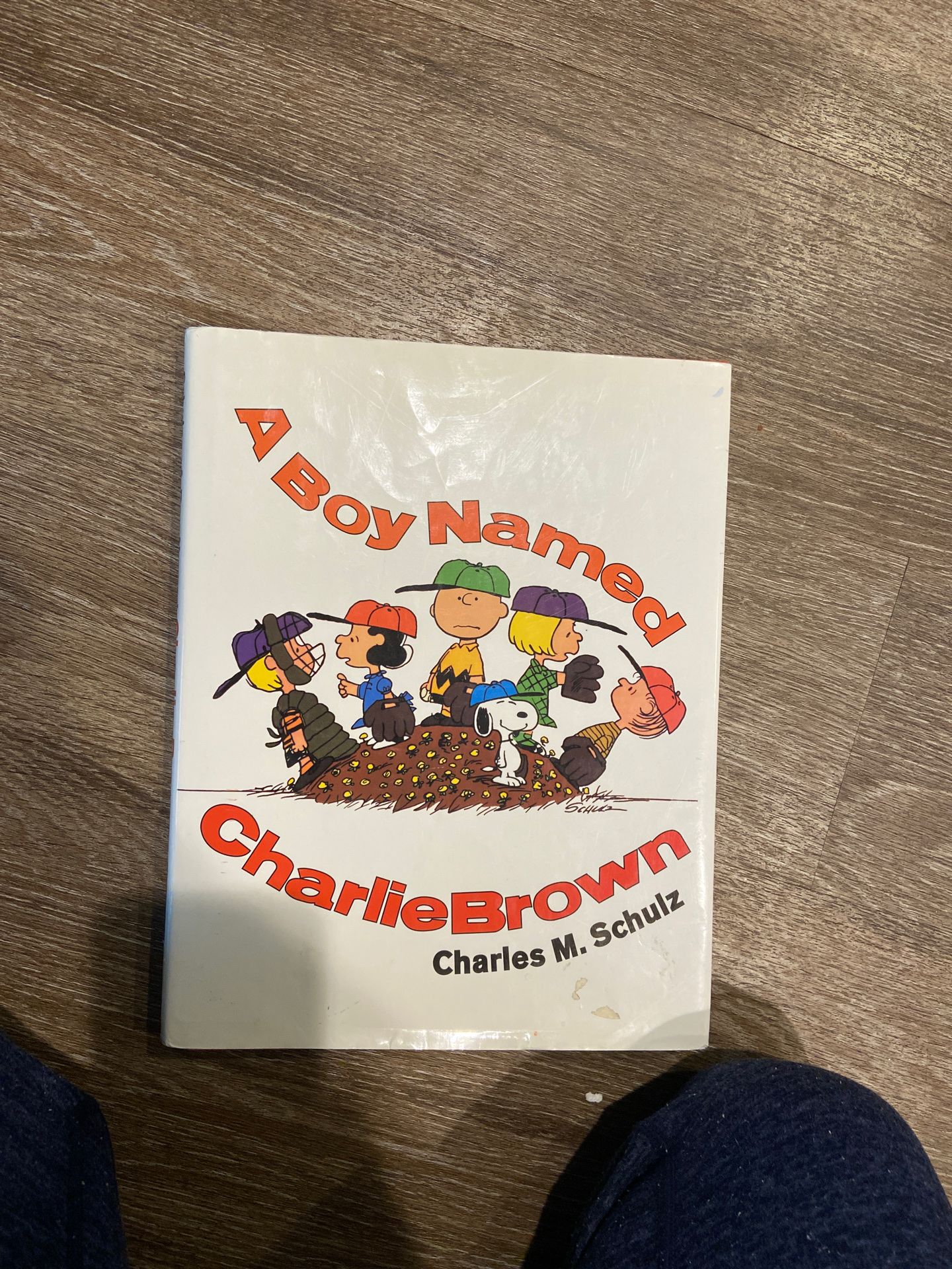 Charlie Brown kids book