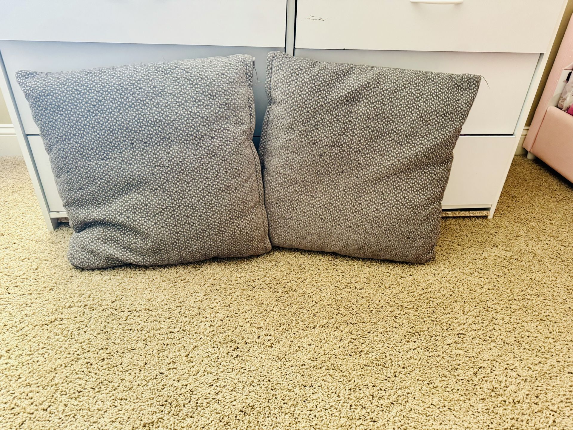 2 Large Squared couch Pillows