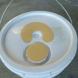 Pinturas Behr Semigloss/ Interior Paint $100