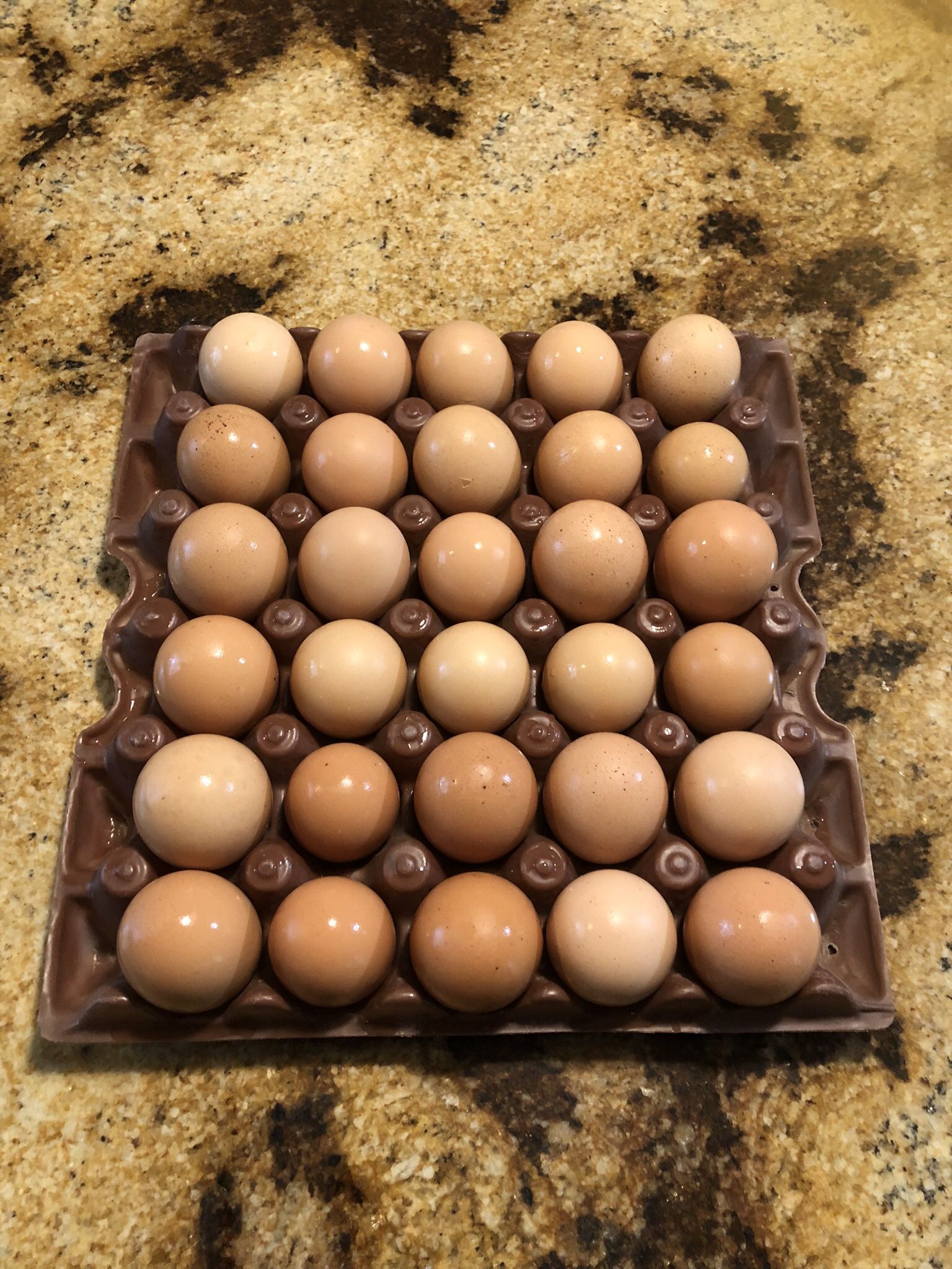 Freshly Laid Farm Eggs