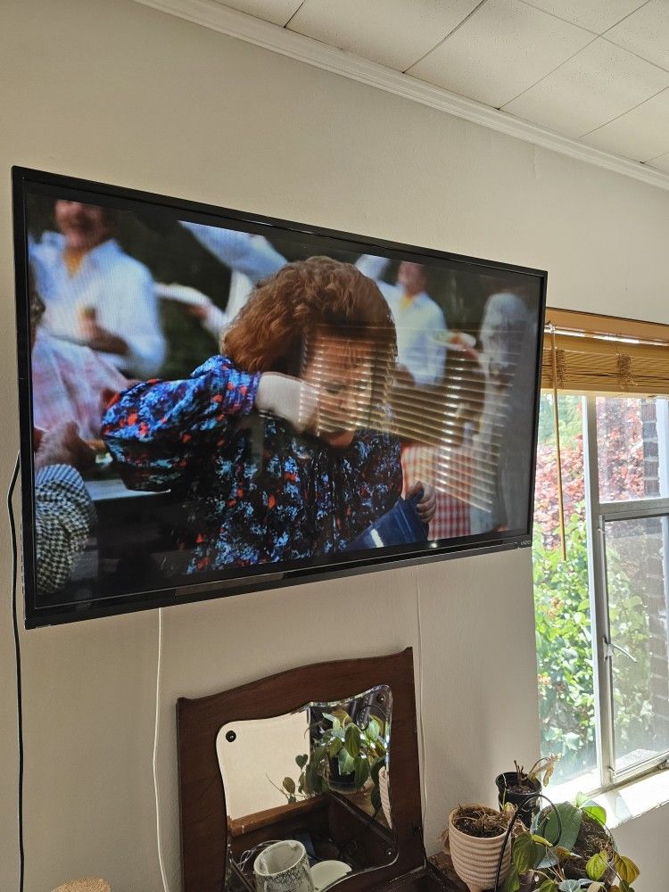 Vizio No Remote 49 Inches