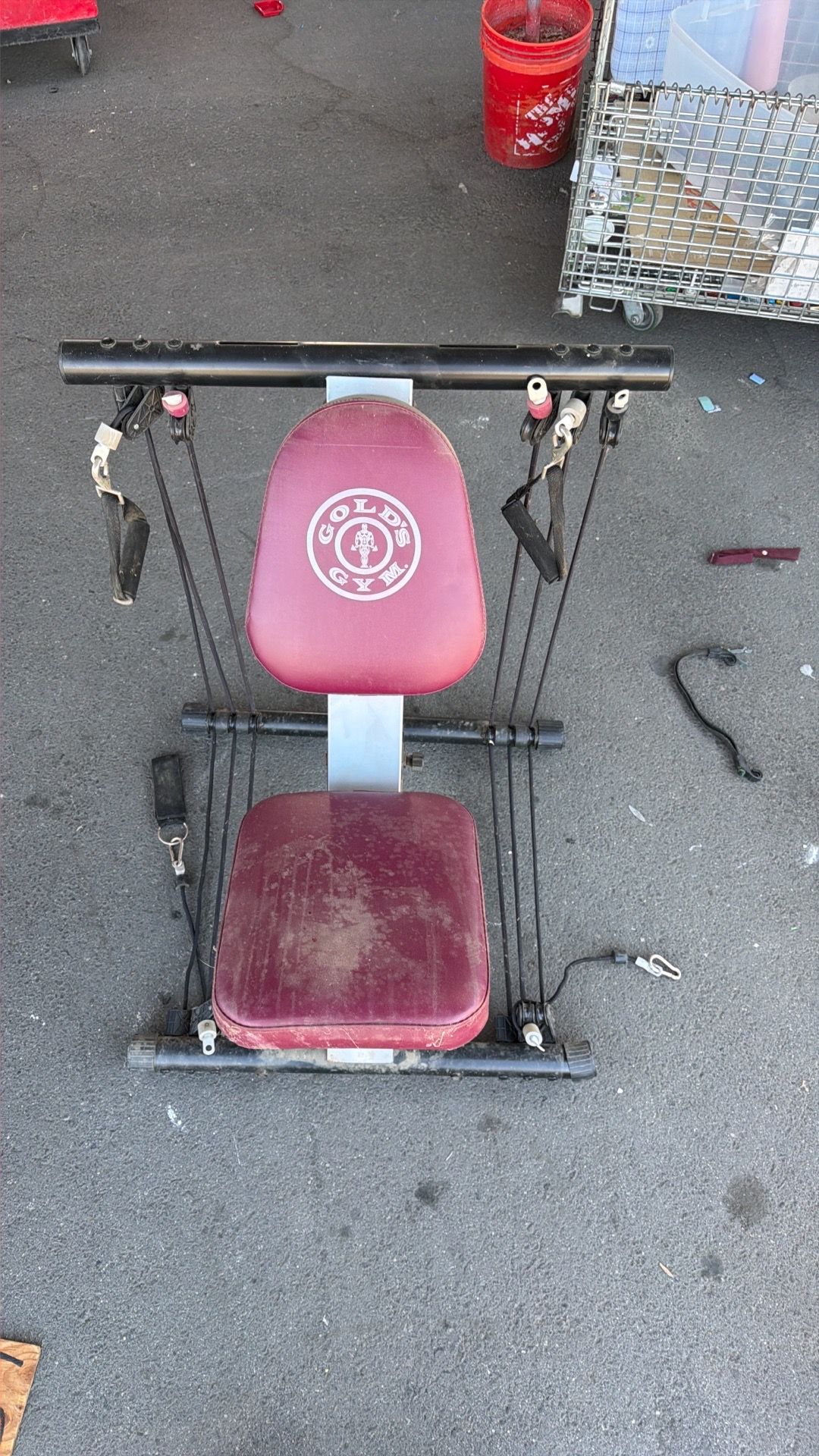 Golds gym chair