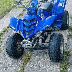 Raptor 80 2009 