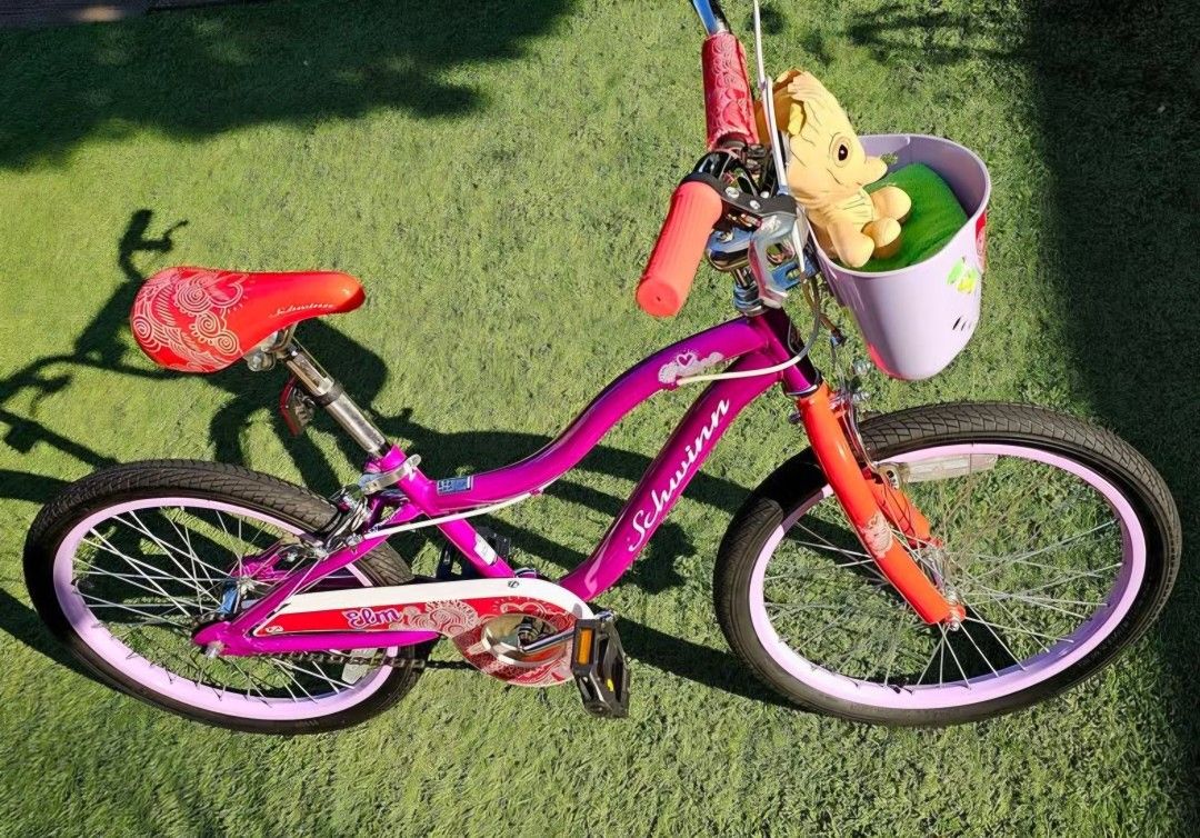 Schwinn 20” Elm Girls Bike RED/PURPLE
Pre-Loved