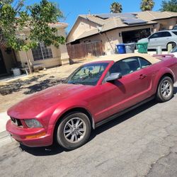 2005 Ford Mustang