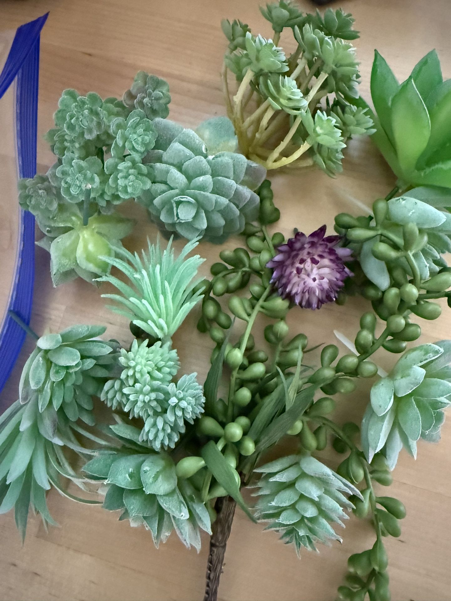 Faux Succulents