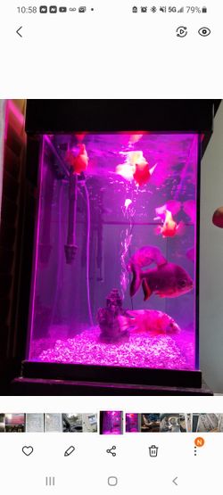 120 Gallon Fish Tank With Stand