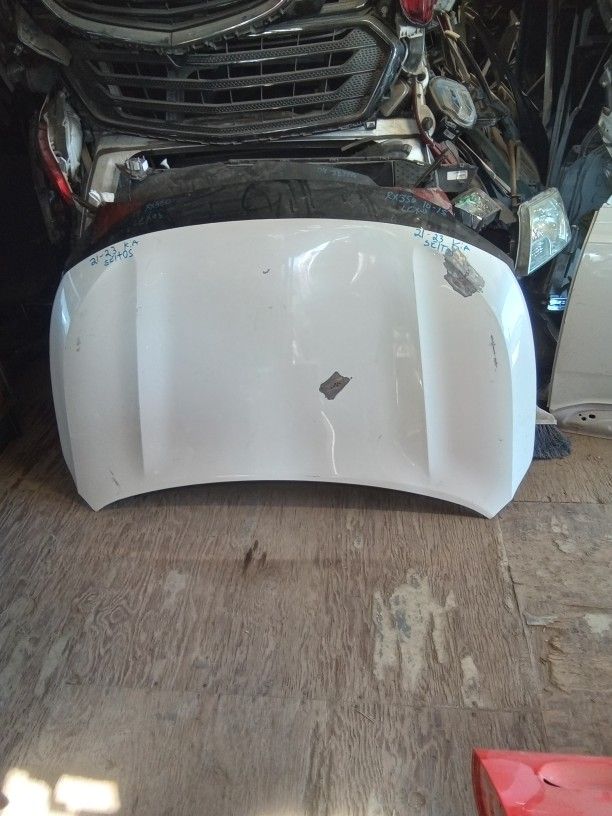 2021 - 2023 Kia Seltos Hood