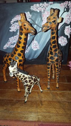 Giraffes