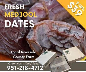 JUMBO Medjool Dates / Just Picked from Local Riverside County Farm - $39 (Orange & Riverside County +)