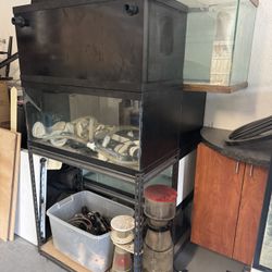 Complete Reef/Frag Tank System - Multiple Drilled Tanks, Skimmers, LED Lights, and More!