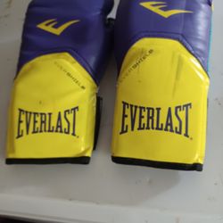 Everlast Bpxing Gloves