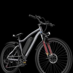 e-mountain bike