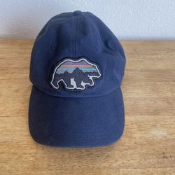 Patagonia Hat