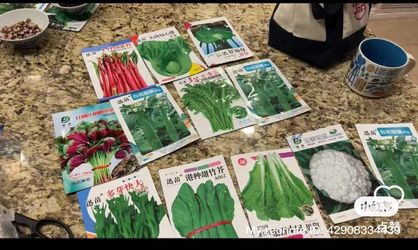 Chinese Vegetable Seeds
