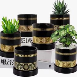  3.2 inch Succulent Plant Pots – Ceramic Flower Pot with Ceramic Tray and Drainage Hole for Plants Succulent Cactus (Plant NOT Included) - 6 Pack (Gol