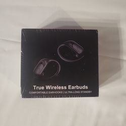 True Wireless Earbuds