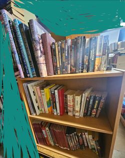 Male Author Books - $1.00/ea