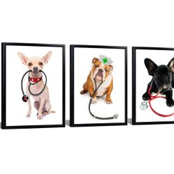 New In Box Dog Framed Art Veterinarian Office Art 
