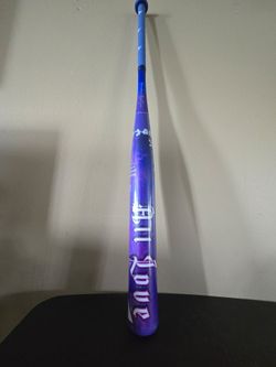 Anarchy Slowpitch Bat