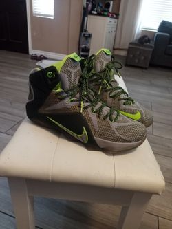 LeBron 12 Dunkman Shoe