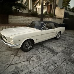 64.5 Mustang V8 Manual Coupe