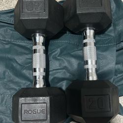 Rogue Fitness 20 lb dumbbells