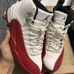 Jordan 12 Size 8.5