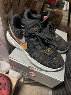Lebron 20s