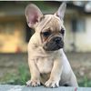 Esther