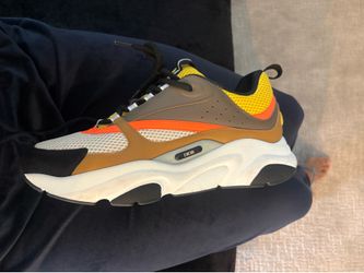 Dior B22 Calf Mesh