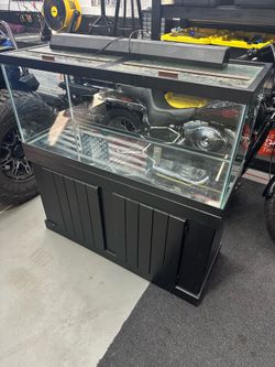 75 gallon aquarium