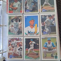 Large Colection Of Baseball Cards 