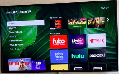 65 Inch Phillips Roku TV